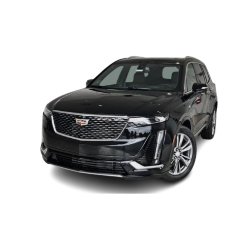 Elite Luxury Sedan Services (2)